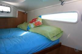 DOLPHIN 460