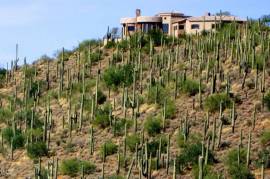 42820 N FLEMING SPRINGS Road Cave Creek