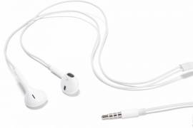 Apple In-Ear Headphones with Remote and Mic