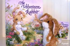 The Velveteen Rabbit