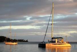 DOLPHIN 460