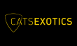 Cats Exotics